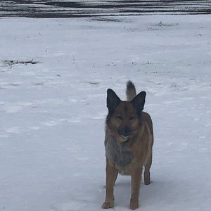 Meet your Posher, Wendy